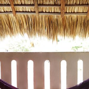 Habitación Estándar con 2 Camas Individuales
